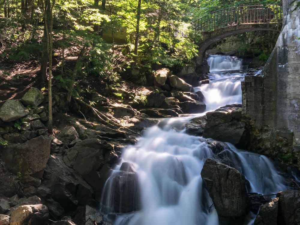 Wooded campground at golden hour — representative photo of a Central New York park