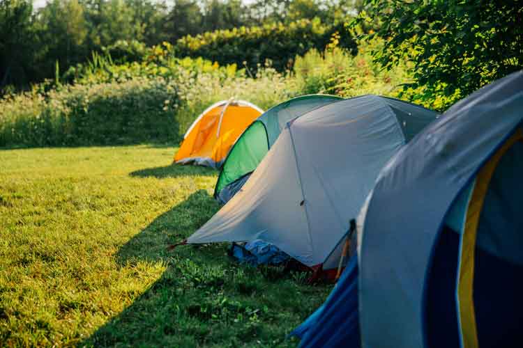 Tents pitched on a grassy campsite in summer sun — representative stock photo for Western New York Campground in the Southern Tier