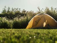 Wooded campground