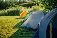 Tents on a grassy campsite