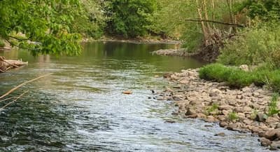 Lycoming Creek