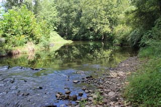 Lycoming Creek shallows