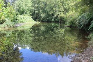Lycoming Creek reflections