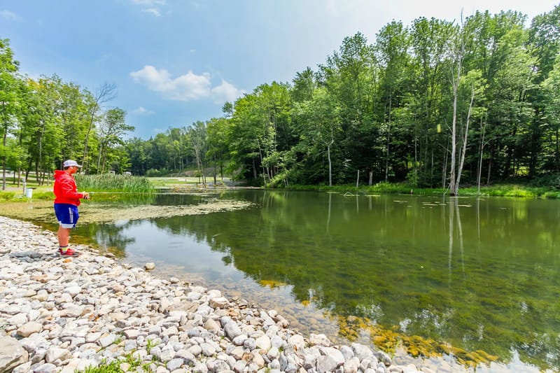 Scenic View Campground lake and natural surroundings
