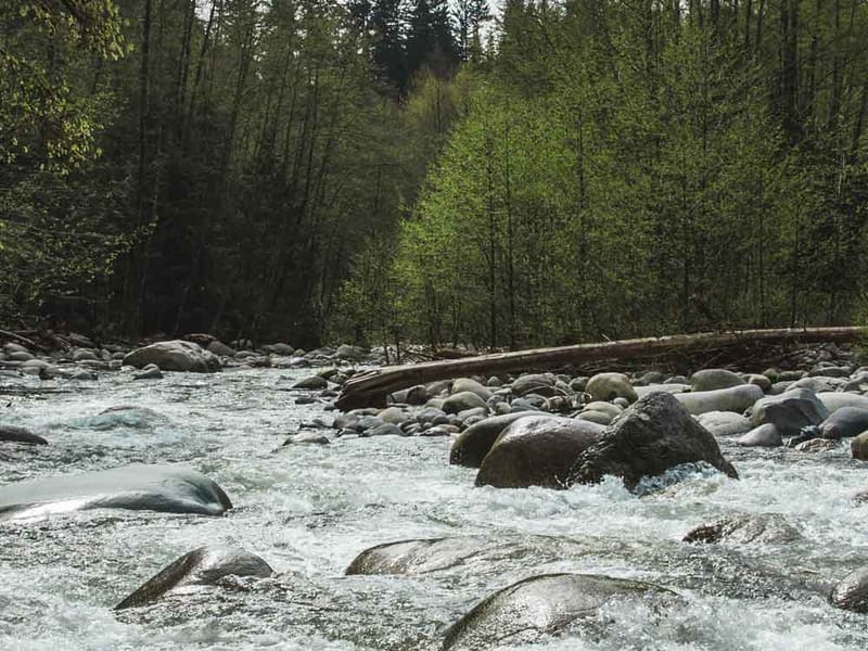 Beautiful campground at sunset