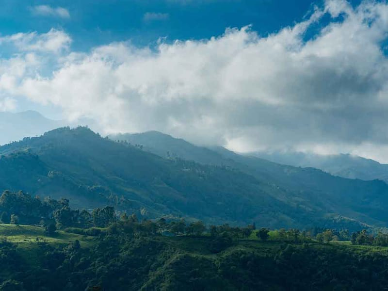 Thompson Hill Campground